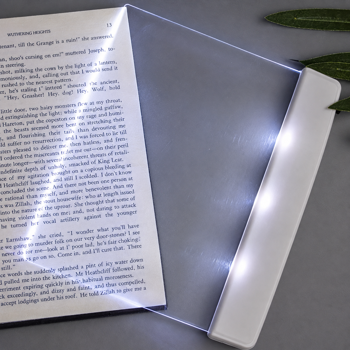 LumiPage LED acrylic book light - AAA batteries easy to use lightweight and slim design