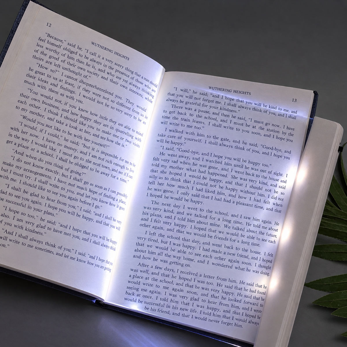 LumiPage LED acrylic book light - AAA batteries easy to use lightweight and slim design